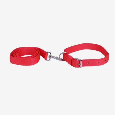 Collar and Leash Combo Soft Nylon freeshipping - Indihopshop