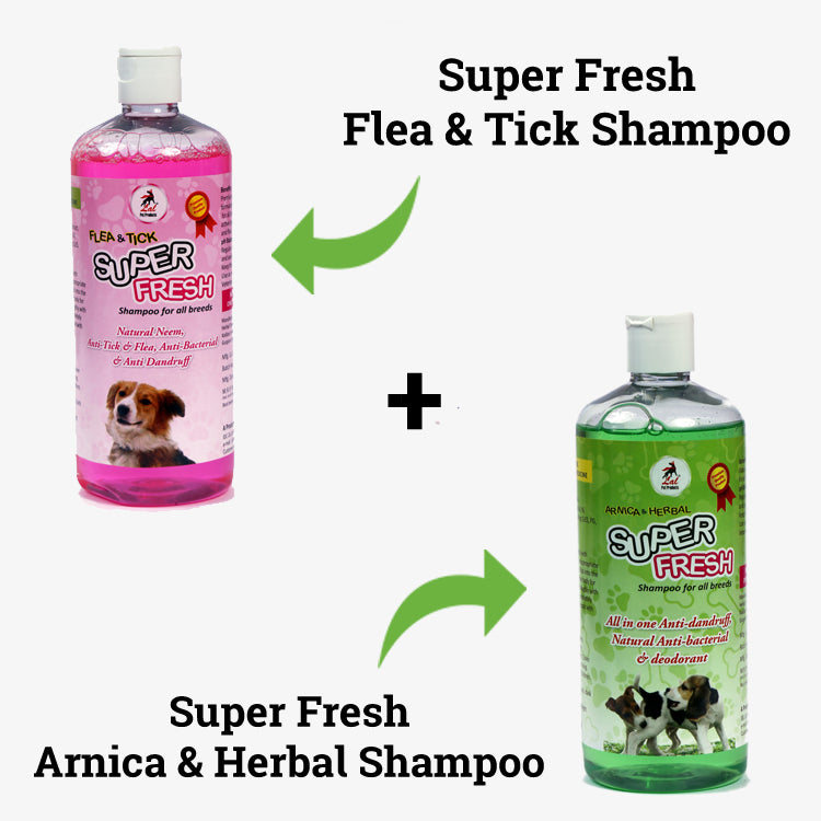 Dog Shampoo 500 ml Flea & Tick + Arnica & Herbal COMBO