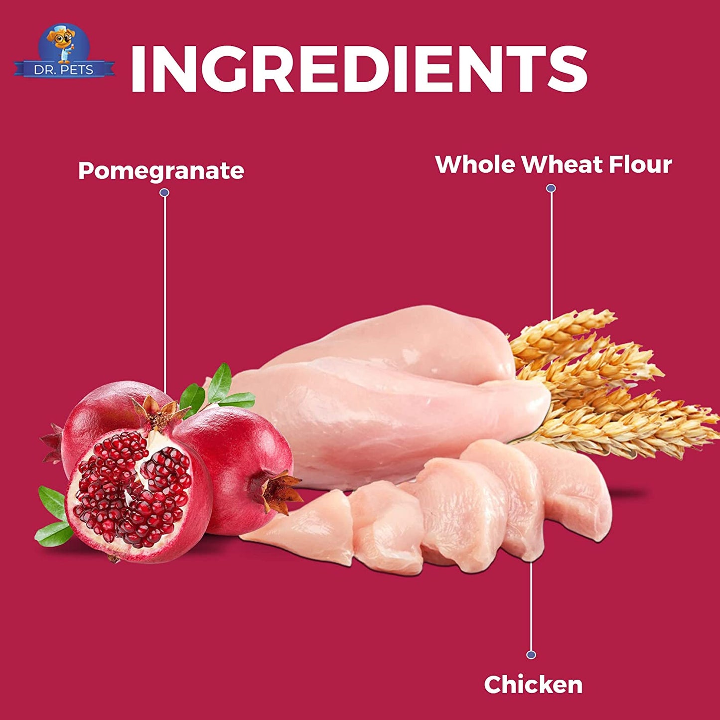 TREETOS Chicken Pomegranate by DR. Pets (70 g Pack)