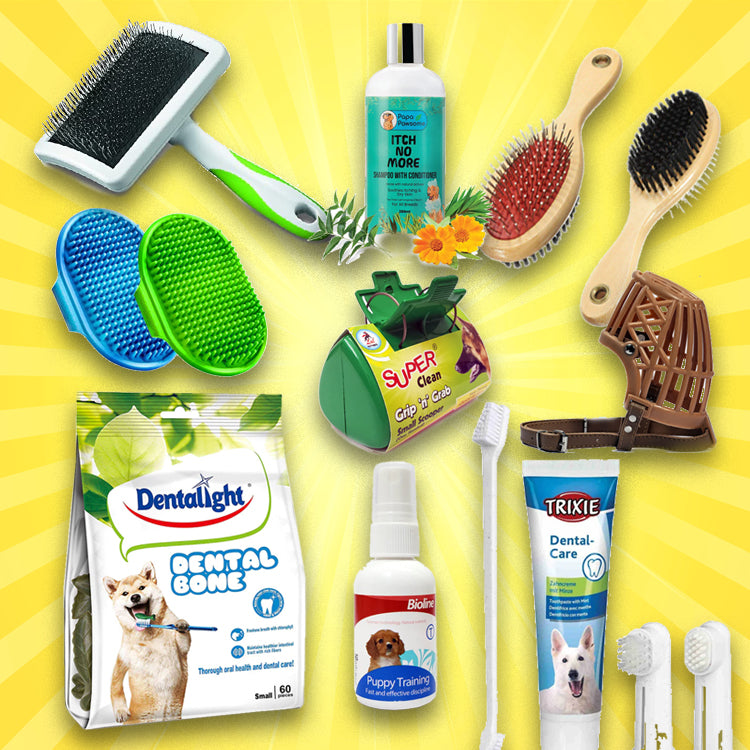 GROOMING AND ACCESSORIES