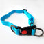 Super Silicon Collar & Leash Set - Blue - Large