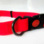 Super Silicon Collar & Leash Set - Red - Large