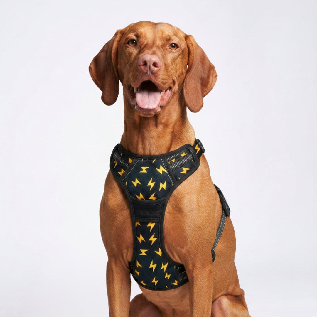 PRO Harness - Thunder - Reflective | No-Choke | Adjustable