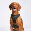 PRO Harness - Thunder - Reflective | No-Choke | Adjustable