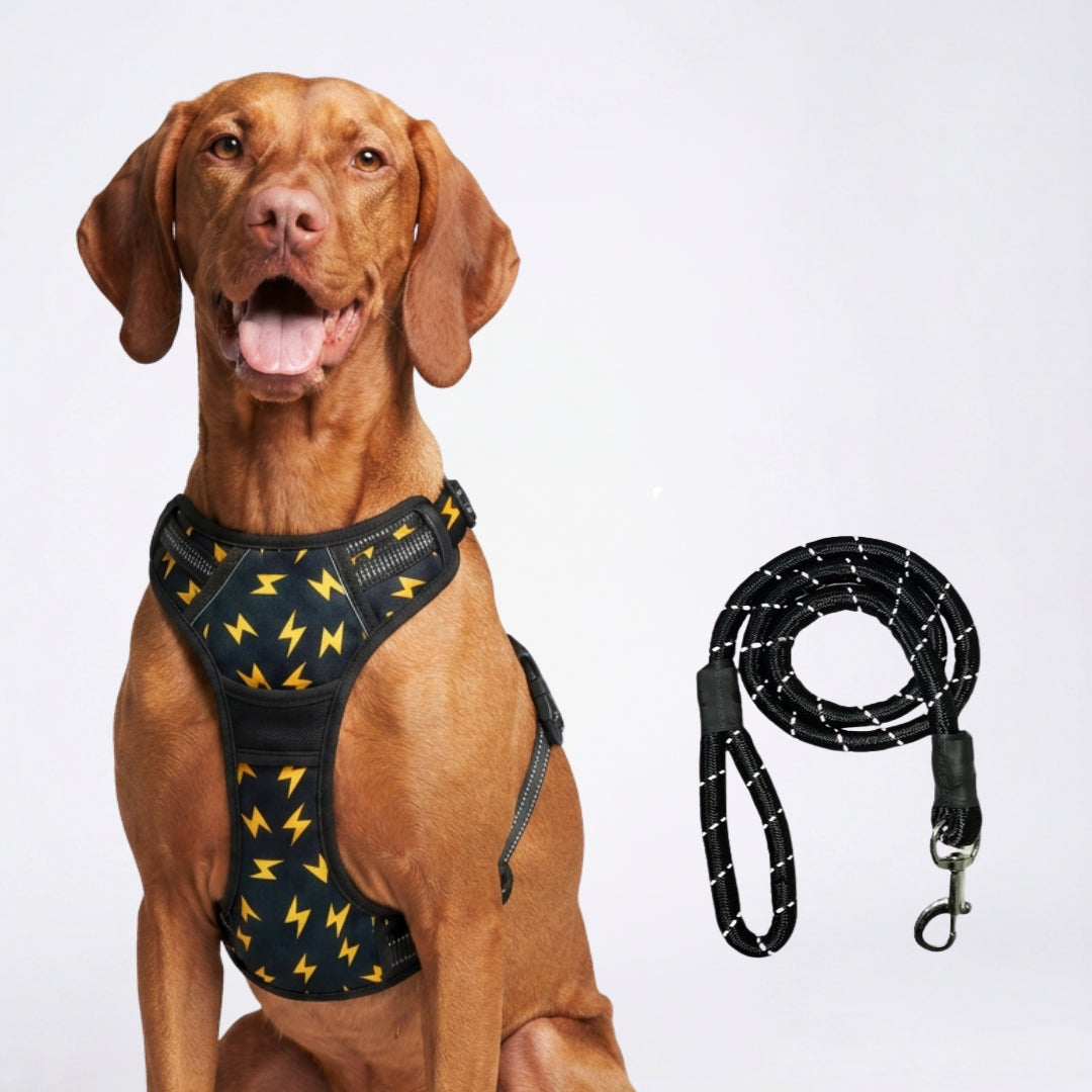 PRO Harness - Thunder - Reflective | No-Choke | Adjustable