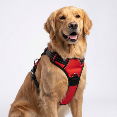 PRO Harness - Red - Reflective | No-Choke | Adjustable