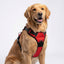 PRO Harness - Red - Reflective | No-Choke | Adjustable