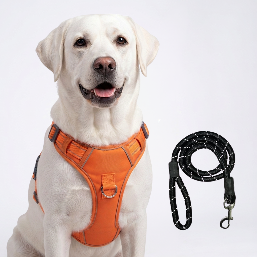 PRO Harness - CITRUS RUSH - Reflective | No-Choke | Adjustable