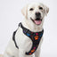 PRO Harness - SUPER PAWS - Reflective | No-Choke | Adjustable