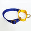 IndiHopShop Martingale Collar - Blue/Yellow
