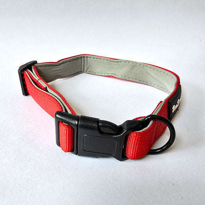 Red Plush Padding Collar & Leach Combo