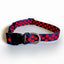 Blue Dot Printed Collar & Leash COMBO