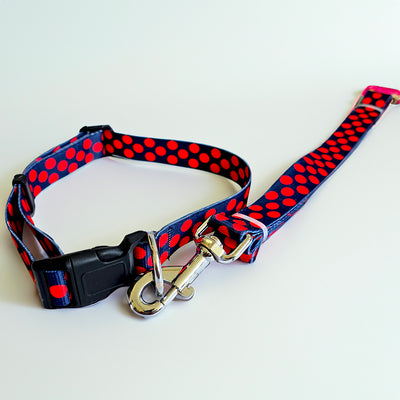 Blue Dot Printed Collar & Leash COMBO