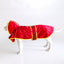Pet Raincoat Jacket - Red/Yellow
