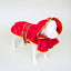 Pet Raincoat Jacket - Red/Yellow