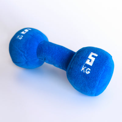 Dumbbell Plush toy