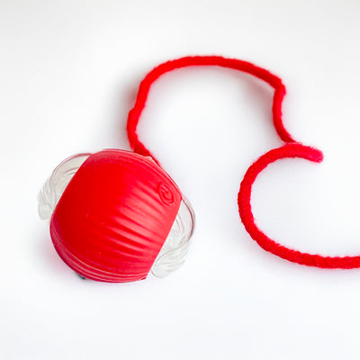 Pet Intelligent Rolling Ball - USB Rechargeable