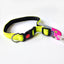 Premium Reflective Padded Dog Collar - Large - Neon