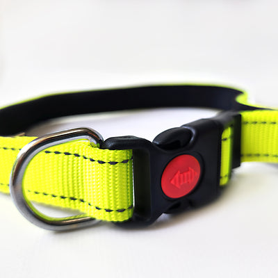 Premium Reflective Padded Dog Collar - Large - Neon