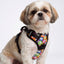 PRO Harness - Groovy Emojis - Reflective | No-Choke | Adjustable