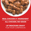 Drools Adult, Real Chicken and Chicken Liver Chunks in Gravy,150g GMs