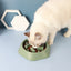 Slow Feeder Dog Bowl | No Choking | No Gulping | Promotes Digestion - Assorted Colors