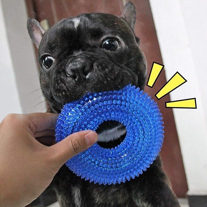 TPR Rubber Spike RING Chew Toy for Dogs and Puppies