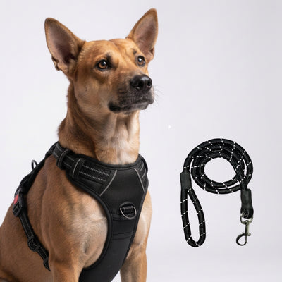 PRO Harness - Black - Reflective | No-Choke | Adjustable