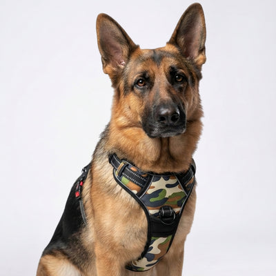 PRO Harness - Camouflage - Reflective | No-Choke | Adjustable