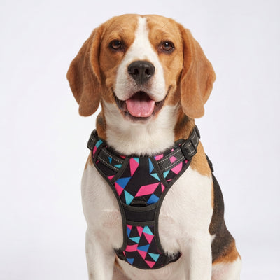 PRO Harness - RETRO SPICE - Reflective | No-Choke | Adjustable