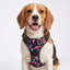 PRO Harness - RETRO SPICE - Reflective | No-Choke | Adjustable