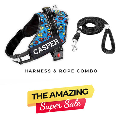 Personalized Dog Harness - ATOMIC POP