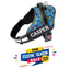 Personalized Dog Harness - ATOMIC POP