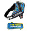 Personalized Dog Harness