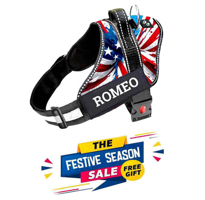 Personalized Dog Harness - AMERICAN DREAM