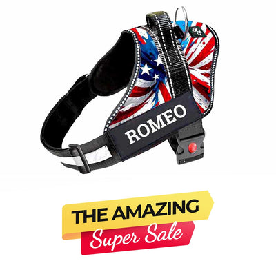 Personalized Dog Harness - AMERICAN DREAM