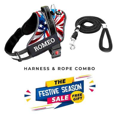 Personalized Dog Harness - AMERICAN DREAM