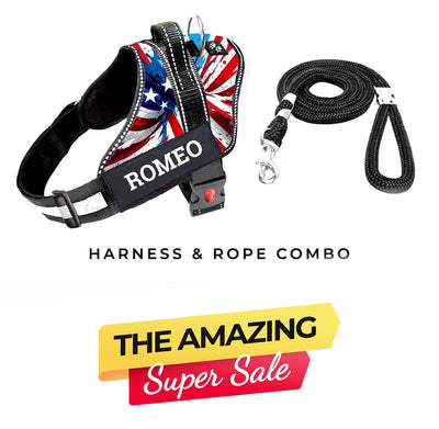 Personalized Dog Harness - AMERICAN DREAM