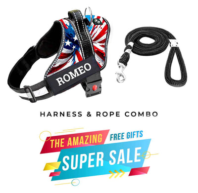 Personalized Dog Harness - AMERICAN DREAM