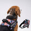 Personalized Dog Harness