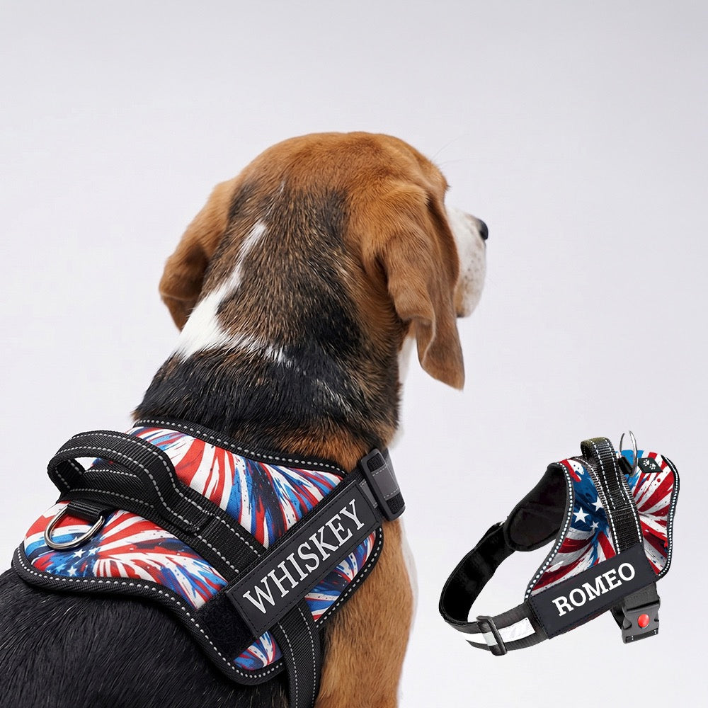 Personalized Dog Harness - AMERICAN DREAM