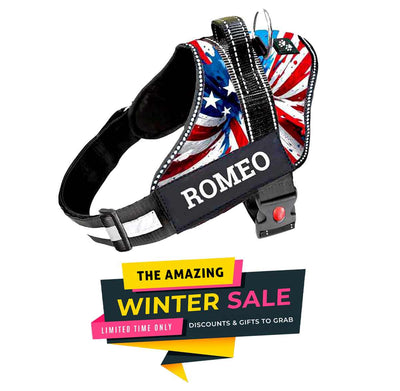 Personalized Dog Harness - AMERICAN DREAM