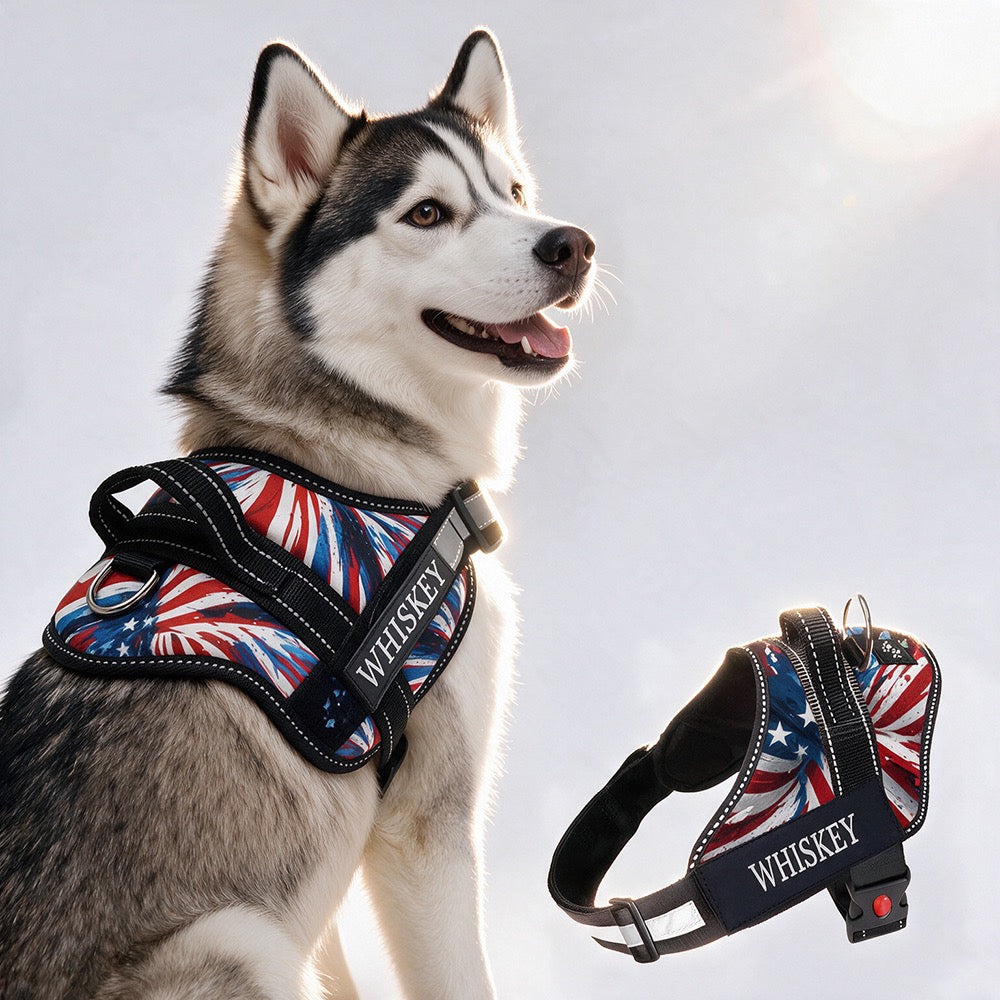 Personalized Dog Harness - AMERICAN DREAM