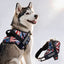 Personalized Dog Harness - AMERICAN DREAM