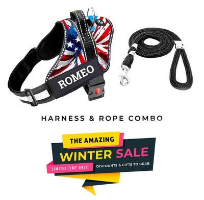 Personalized Dog Harness - AMERICAN DREAM