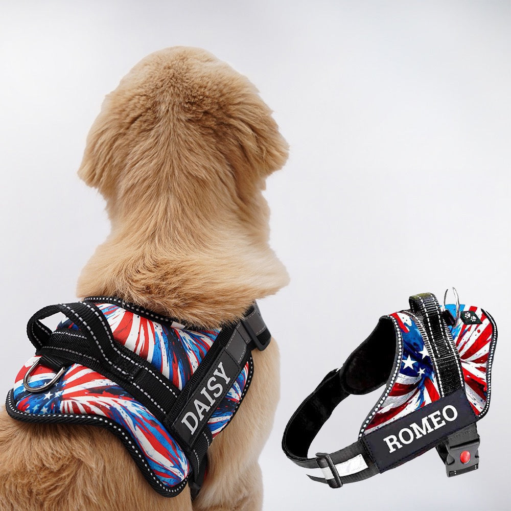 Personalized Dog Harness - AMERICAN DREAM