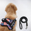 Personalized Dog Harness