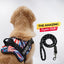 Personalized Dog Harness