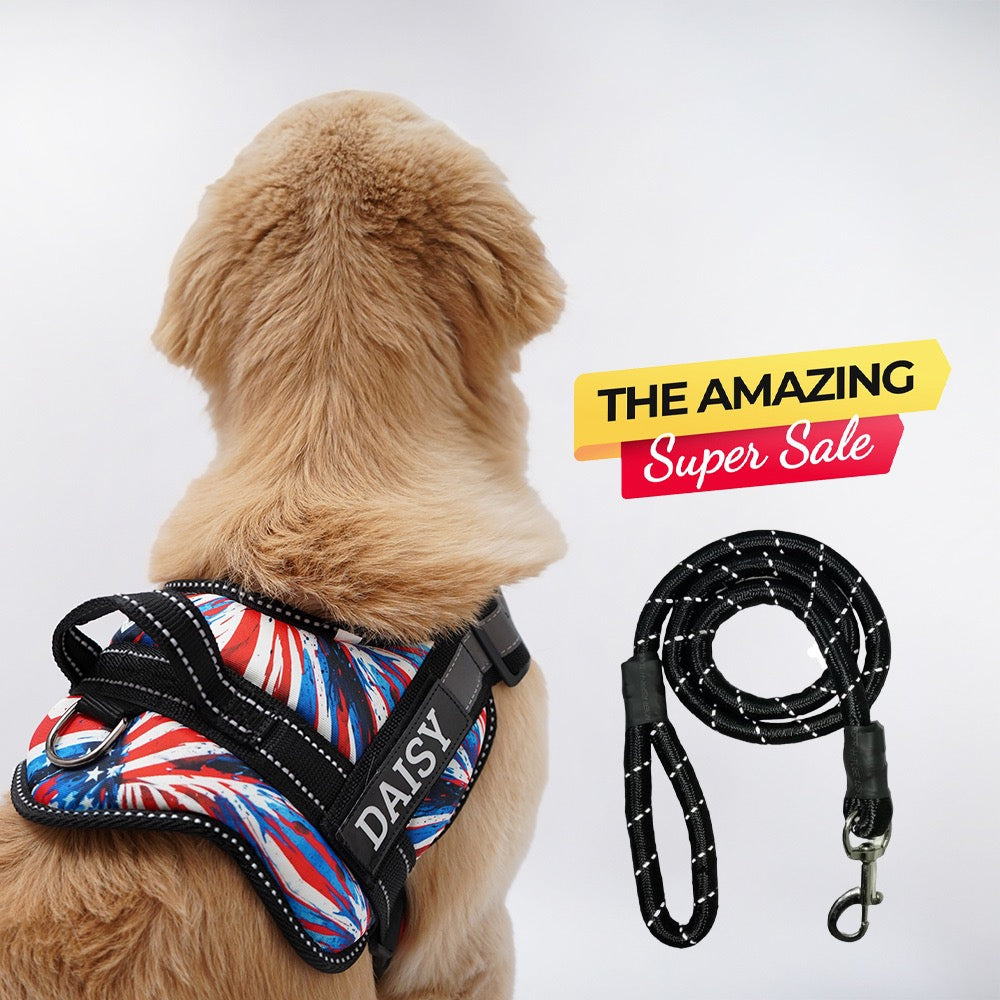 Personalized Dog Harness