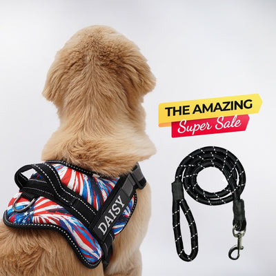 Personalized Dog Harness - AMERICAN DREAM